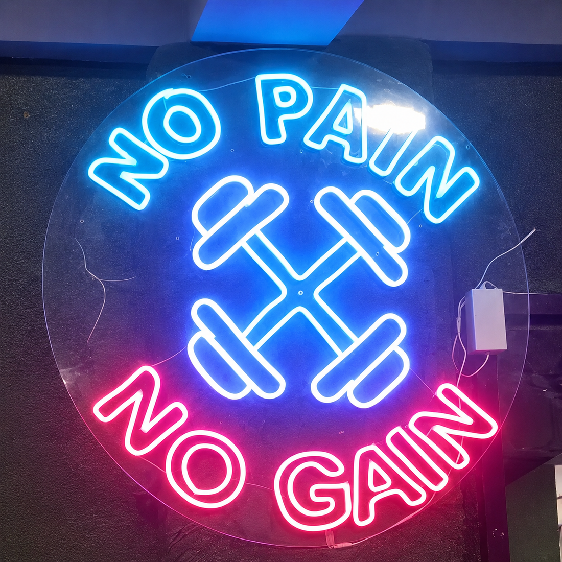 No Pain No Gain LED Neon Sign – Gym Motivational Wall Decor