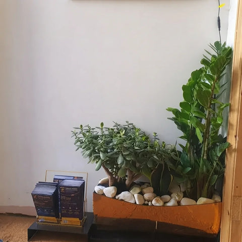 Custom 3D School Reception Wall Sign